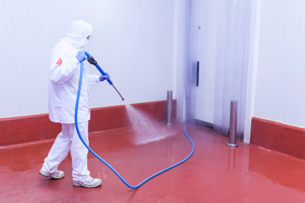 Best Post-Construction Pressure Washing  in Newport, DE